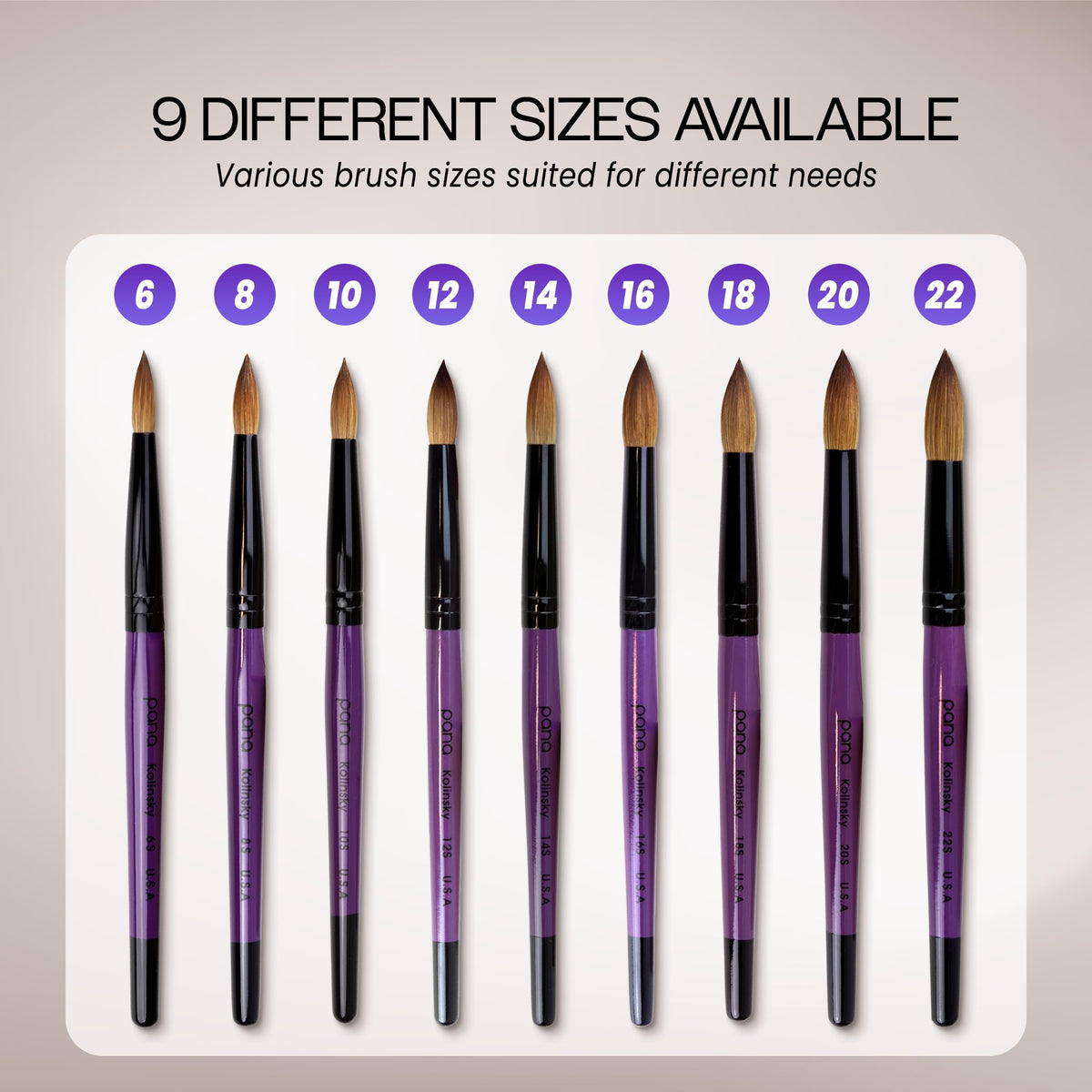 PANA brush next to ruler to show size 12 scale and ergonomic length