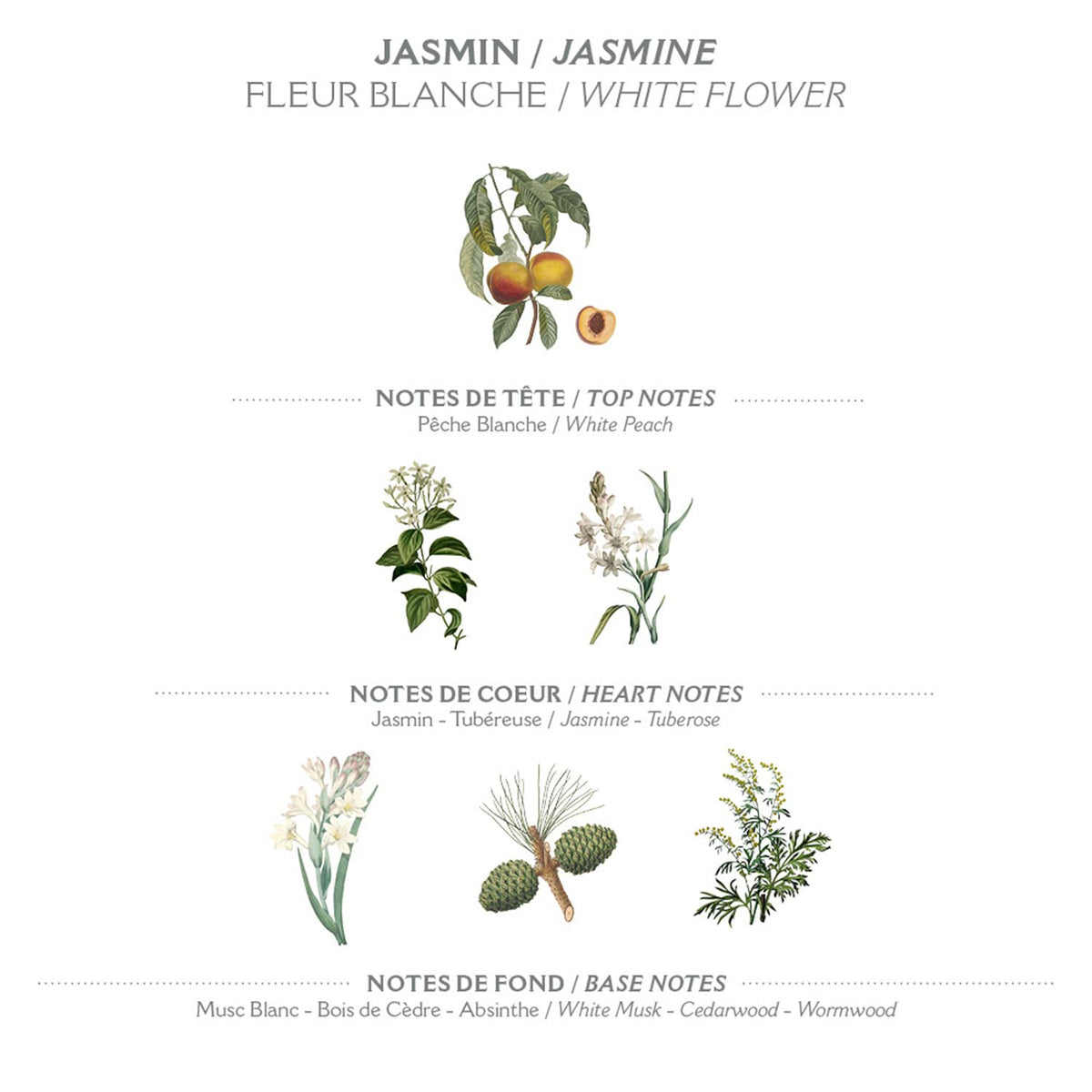 Panier des Sens olive oil ingredient promoting antioxidant hydration