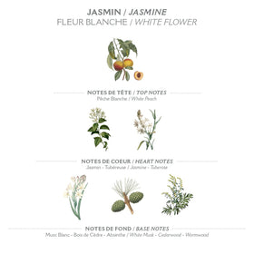 Panier des Sens olive oil ingredient promoting antioxidant hydration