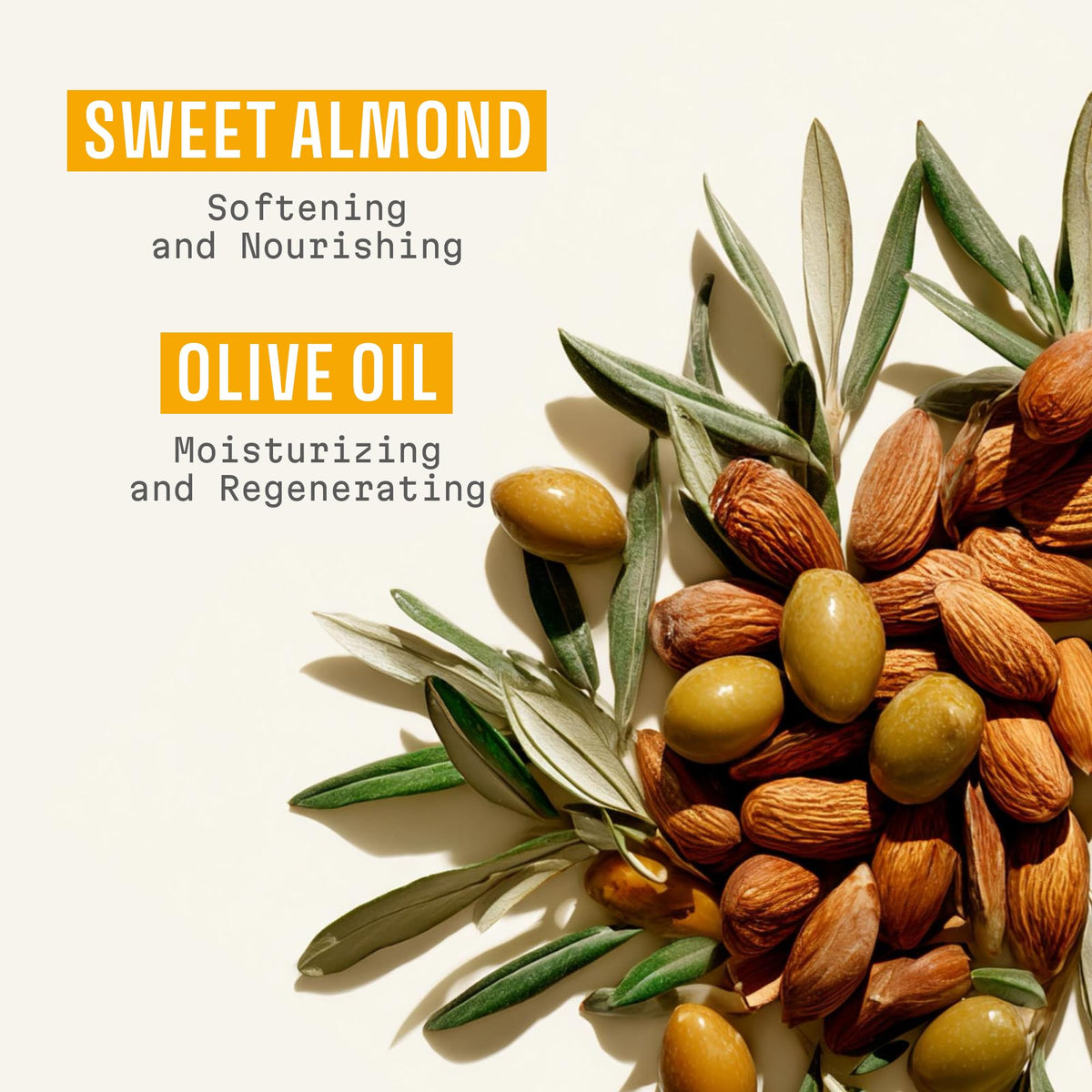 Panier des Sens olive and almond oils with ingredients illustrating nourishing benefits