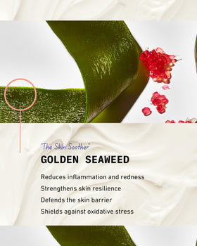 Pash Skin Protection with aloe vera highlighting natural soothing and regeneration