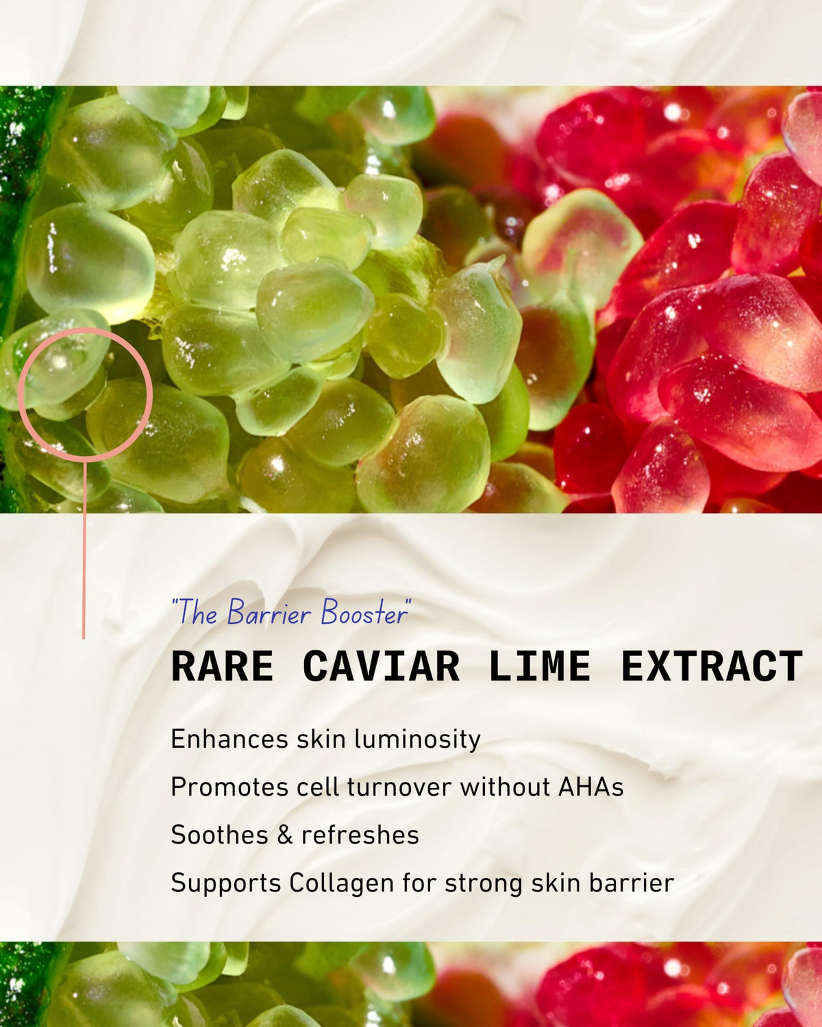 Pash Skin Protection with golden seaweed extract demonstrating barrier-strengthening benefits
