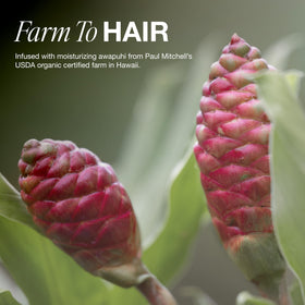Paul Mitchell cucumber-melon scent focus with fruit imagery for fresh fragrance