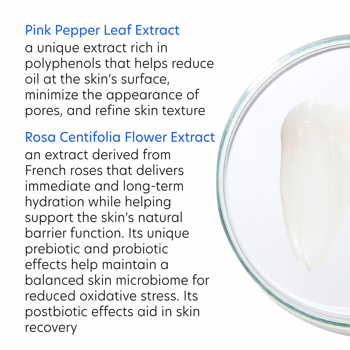 PCA SKIN HydraMatte with hydrolyzed rice extract showing hydration benefit