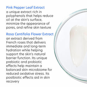 PCA SKIN HydraMatte with hydrolyzed rice extract showing hydration benefit