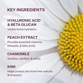 Peach & Lily ingredients label detail showing hyaluronic and botanicals