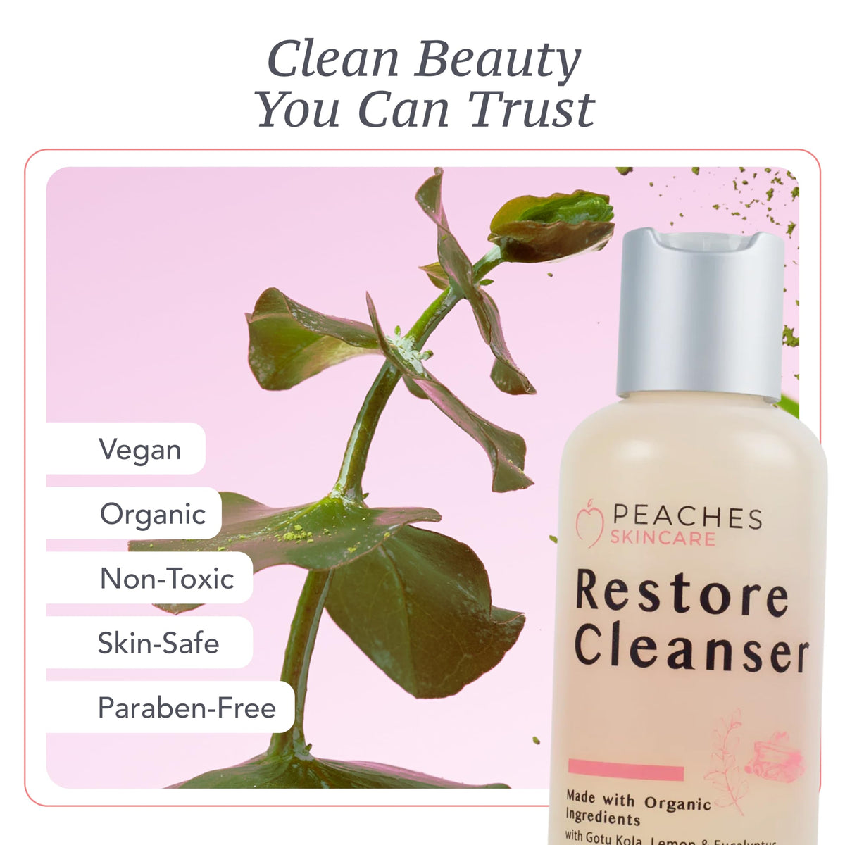 Peaches Skin Care botanical ingredients flatlay with lemongrass and rose hip, illustrating natural formulation benefits