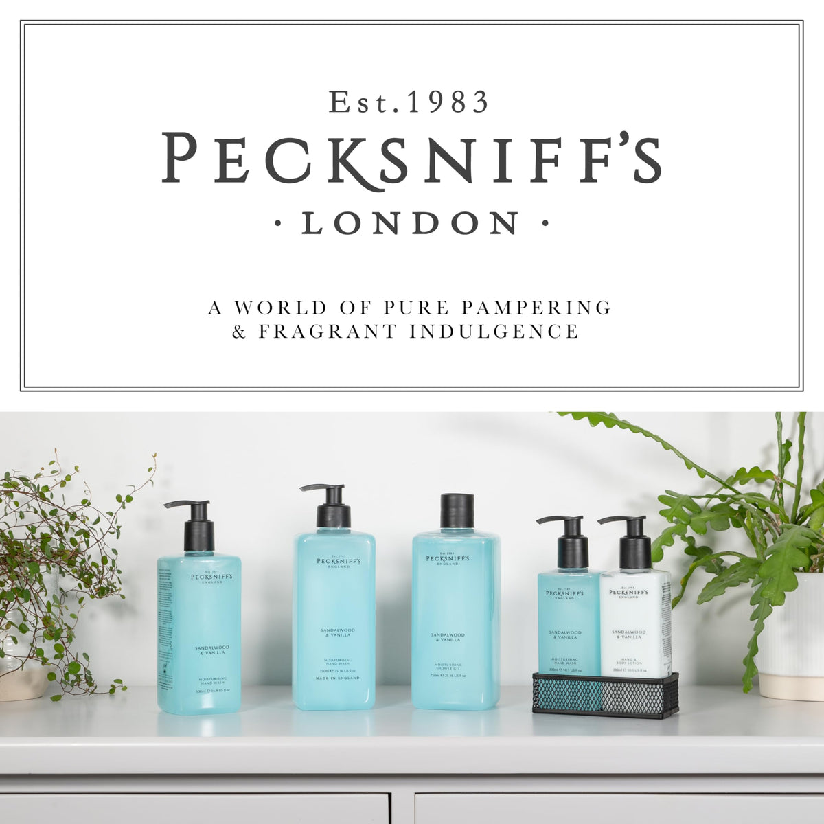 Pecksniff's gift presentation in wrapping ideal for gifting and luxury appeal benefit