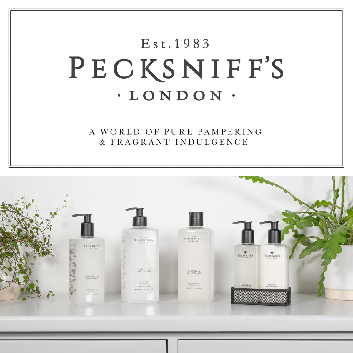 Pecksniff's bottle staged as a gift showing premium presentation and giftable appeal