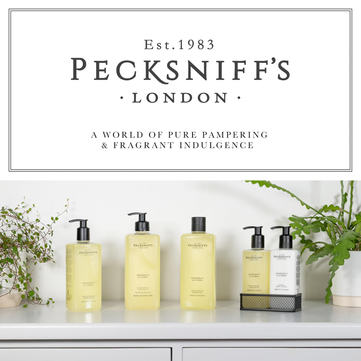 Pecksniff's gift presentation with box showing suitability as an elegant present