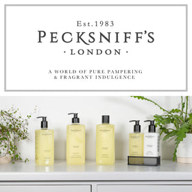 Pecksniff's gift presentation with box showing suitability as an elegant present