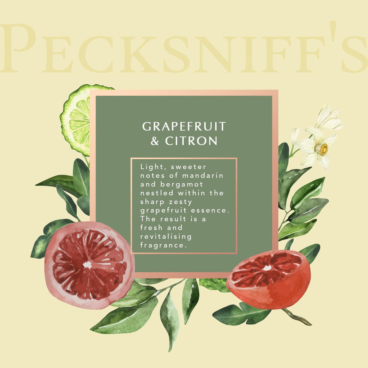 Pecksniff's lotion texture close-up showing creamy hydration for smoother skin