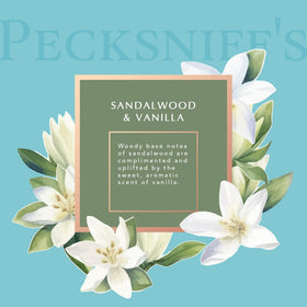 Pecksniff's lotion texture pouring showing lightweight absorbent hydration