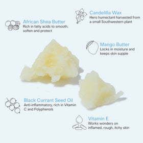 Pedestrian Project shea mango and black currant ingredients offering nourishment