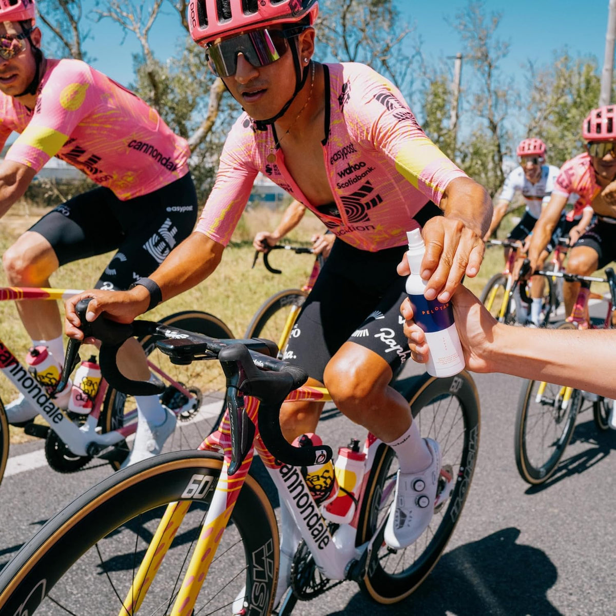 Pelotan label and ingredients view emphasizing athlete‑focused formulation benefit