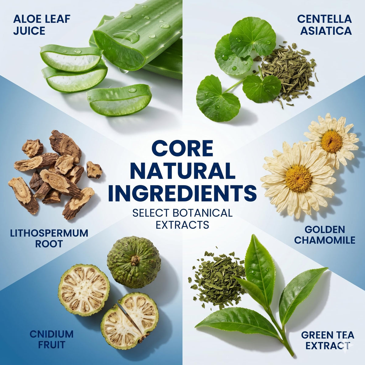 Peunitory ingredient label showing benzoyl peroxide and botanicals for balanced care