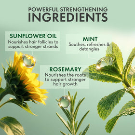 PHARM TO TABLE applying spray to scalp for immediate nourishment