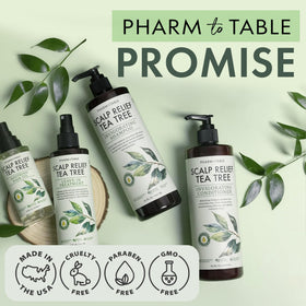 PHARM TO TABLE bottle beside hand to show compact travel-friendly size