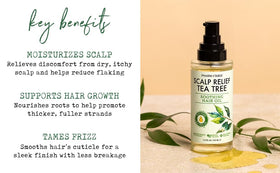 PHARM TO TABLE nourishing braids with oil to reduce frizz and add shine