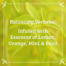 Pharmacopia flatlay of key ingredients showing botanical hydration benefits