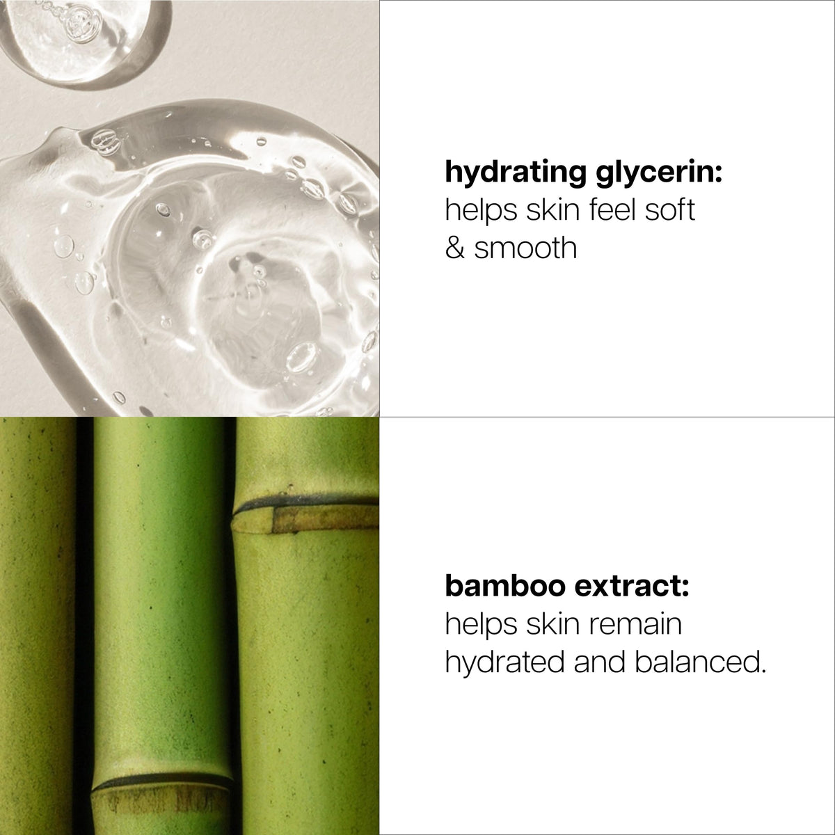 philosophy bamboo extract ingredient shot illustrating natural extract for matte appearance