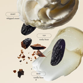 philosophy fresh cream close-up texture of lotion highlighting smooth absorption benefit
