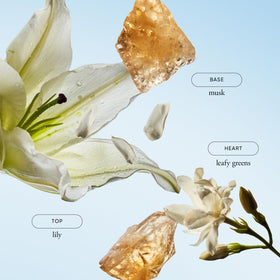 philosophy pure grace texture close-up displaying creamy emulsion and smooth feel