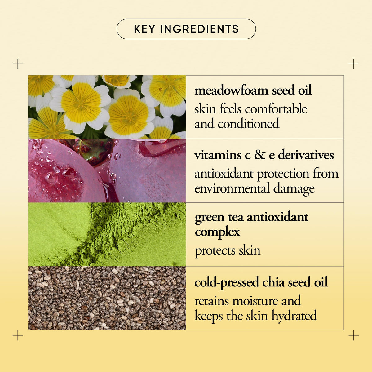 philosophy cream texture close-up illustrating lightweight consistency and absorption
