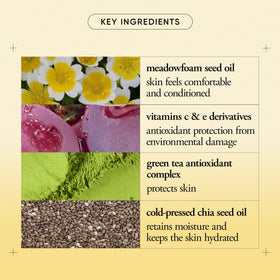 philosophy cream texture close-up illustrating lightweight consistency and absorption
