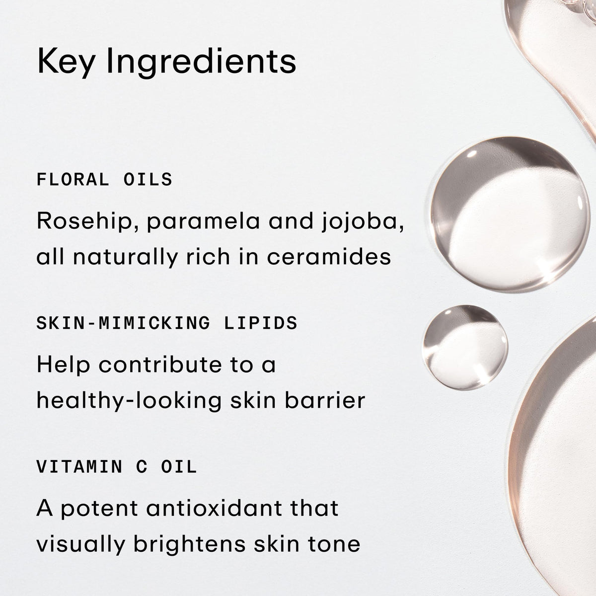 PHLUR ingredients label closeup highlighting ceramide-rich oils and lipids