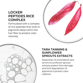 PHYTO ingredient close-up with plant extracts, emphasizes antioxidant and nourishing benefits