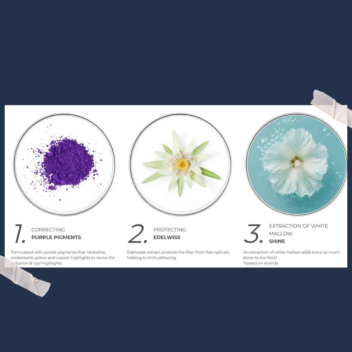 PHYTO edelweiss and white mallow extracts visualizing antioxidant protection and shine