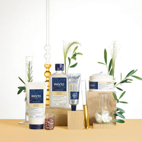 PHYTO jojoba seeds and oil ingredient close-up highlighting nourishing action