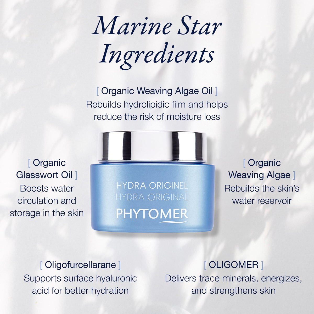 Phytomer algae and glasswort display highlighting natural marine ingredients benefit
