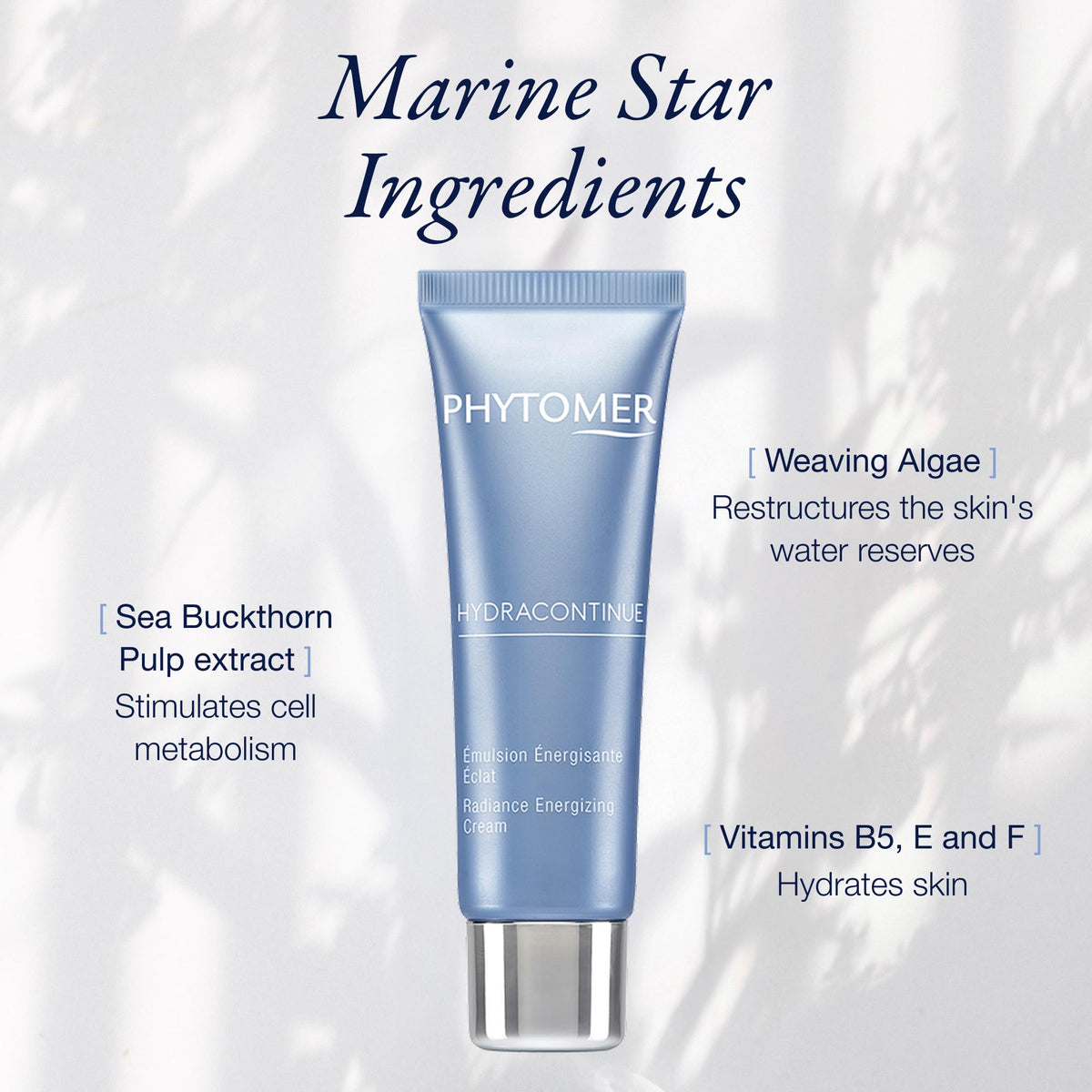 Phytomer marine algae extract detail, illustrates hydration-supporting marine benefit