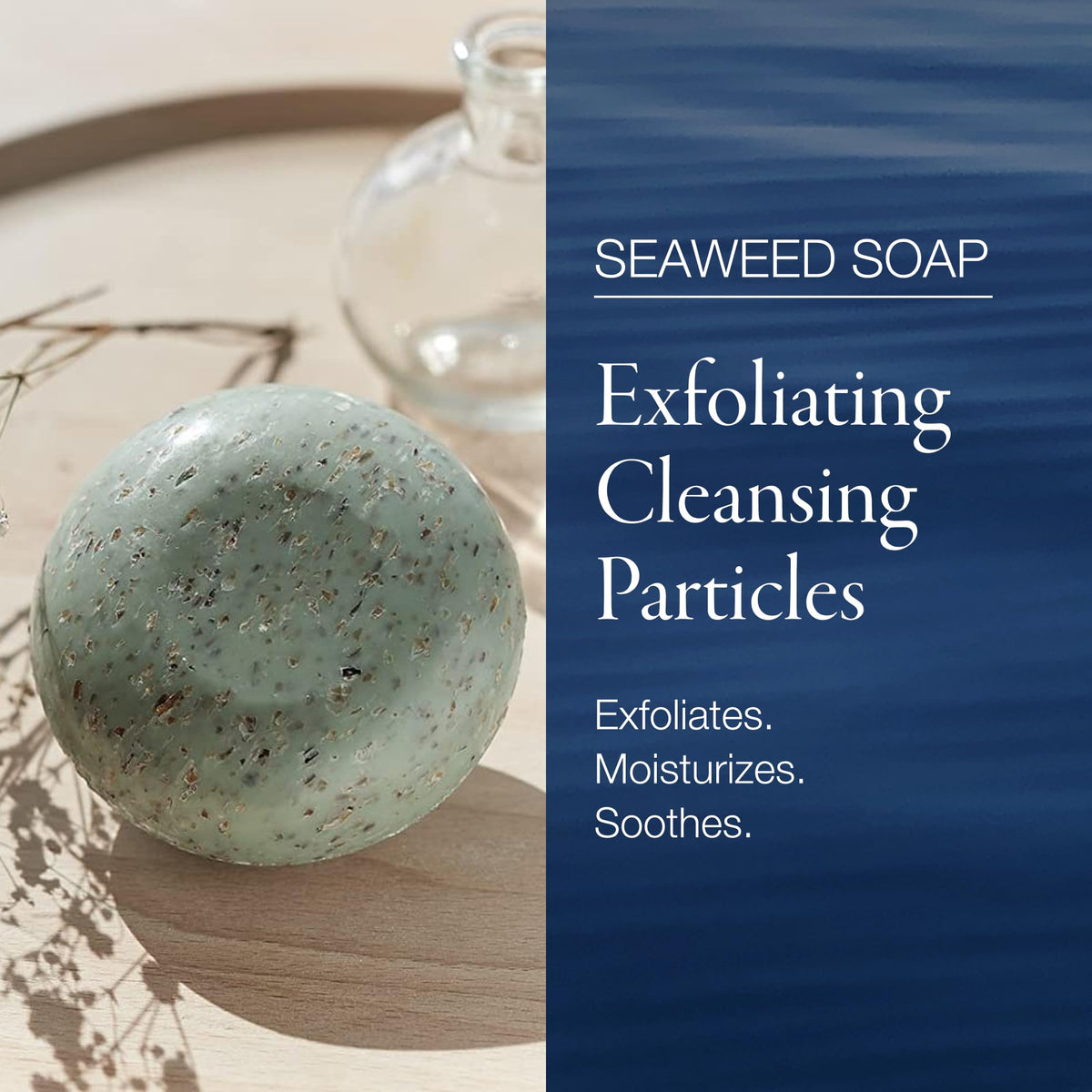 phytomer soap close-up of exfoliating red algae texture, reveals gentle scrub benefit
