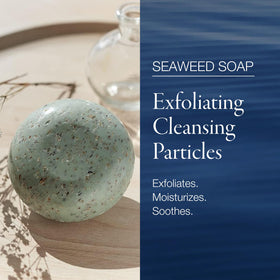 phytomer soap close-up of exfoliating red algae texture, reveals gentle scrub benefit