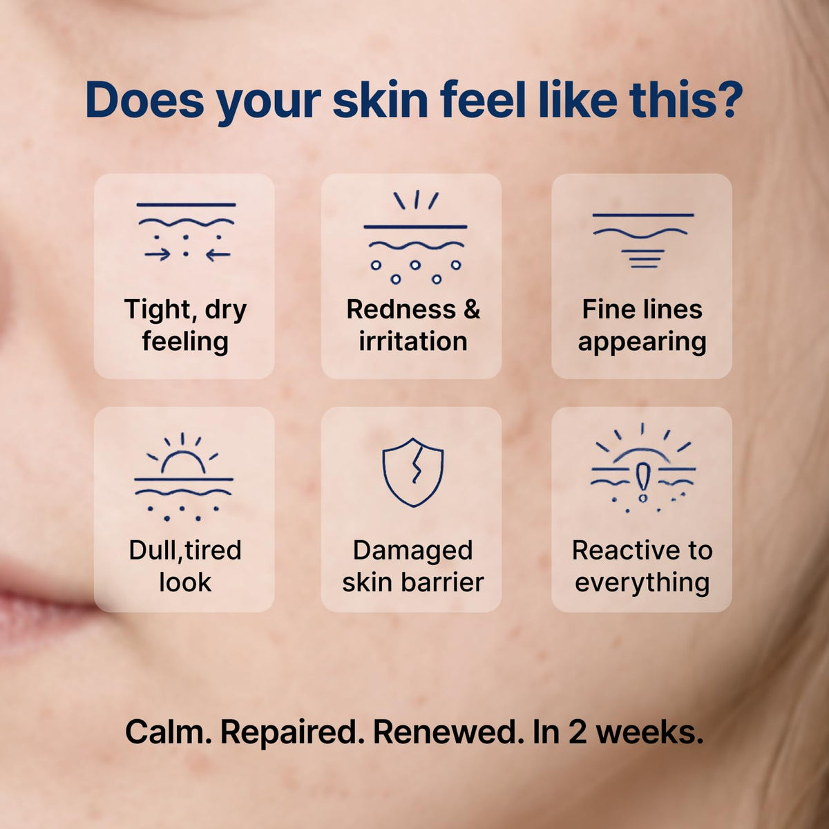 PIENARIN open jar display revealing smooth cream for sensitive skin renewal