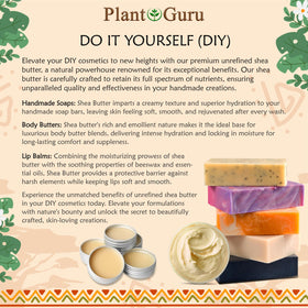 Plant Guru bowl of shea butter beside shea nuts showing natural origin