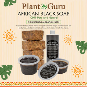Plant Guru hand lathering liquid soap demonstrating gentle cleansing benefit