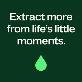 Plant Therapy arranged Shea, Argan, and Coconut highlighting natural ingredients