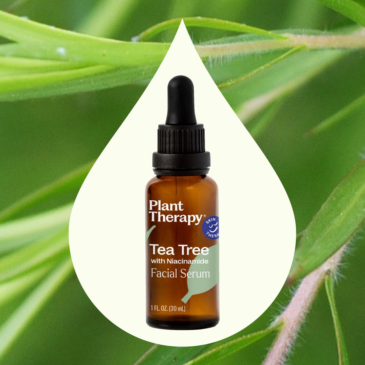 Plant Therapy flatlay with tea tree and willow bark showing natural ingredient benefit