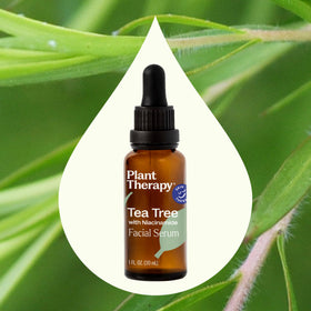 Plant Therapy flatlay with tea tree and willow bark showing natural ingredient benefit