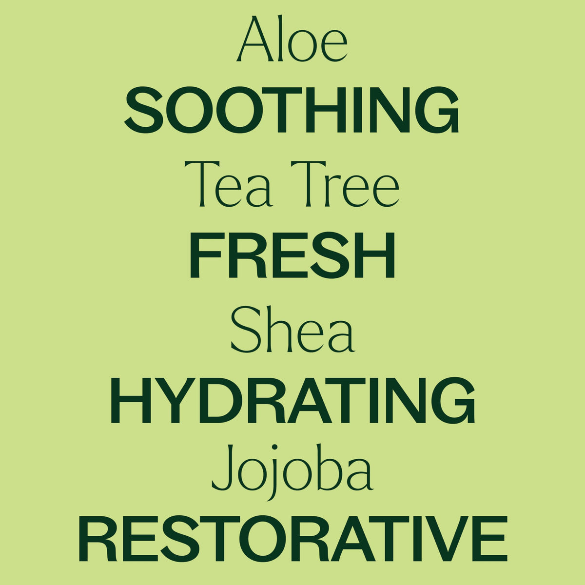 Plant Therapy aloe and shea ingredients arranged to show natural hydration