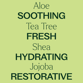 Plant Therapy aloe and shea ingredients arranged to show natural hydration