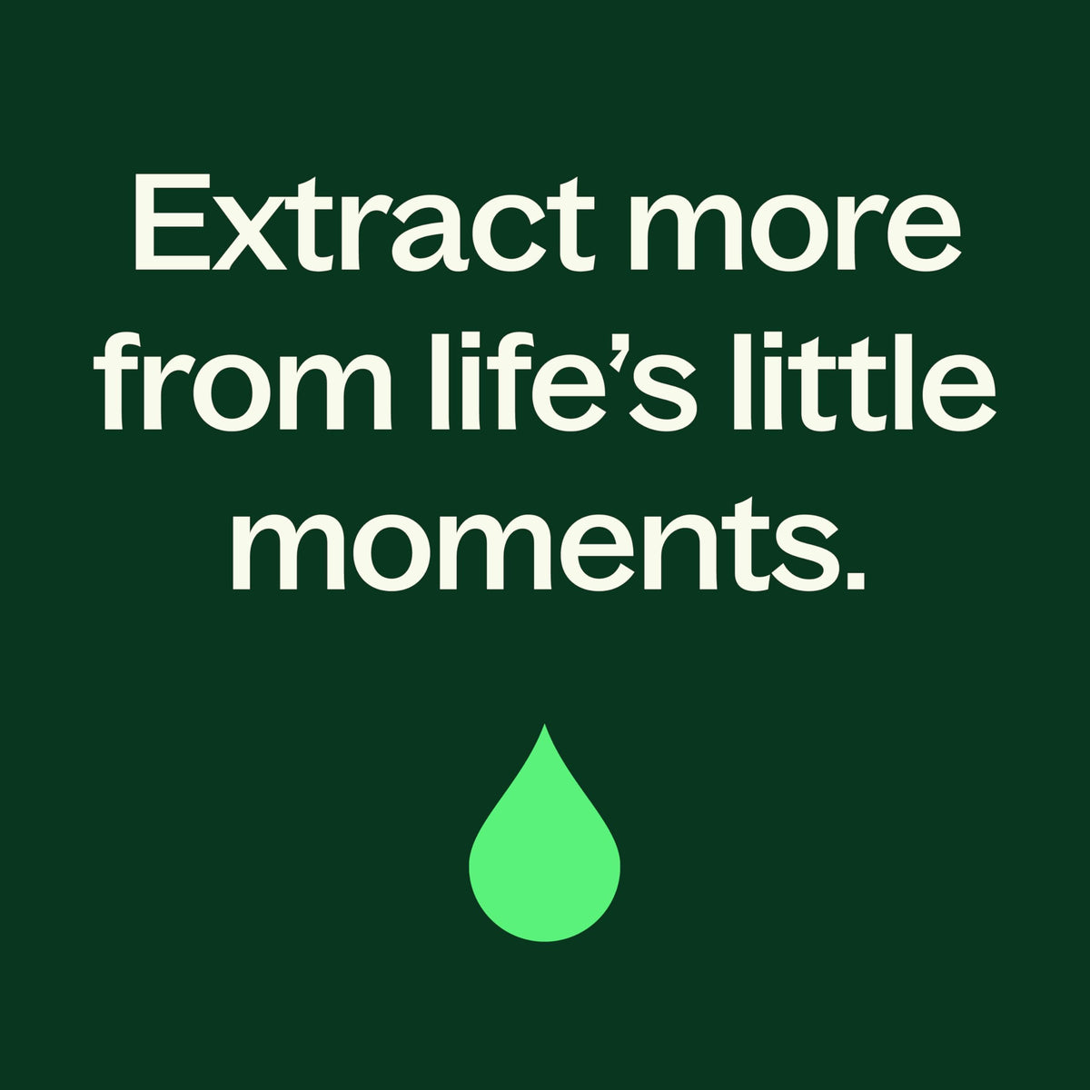 Plant Therapy label close-up showing ingredient highlights and trustworthy product information