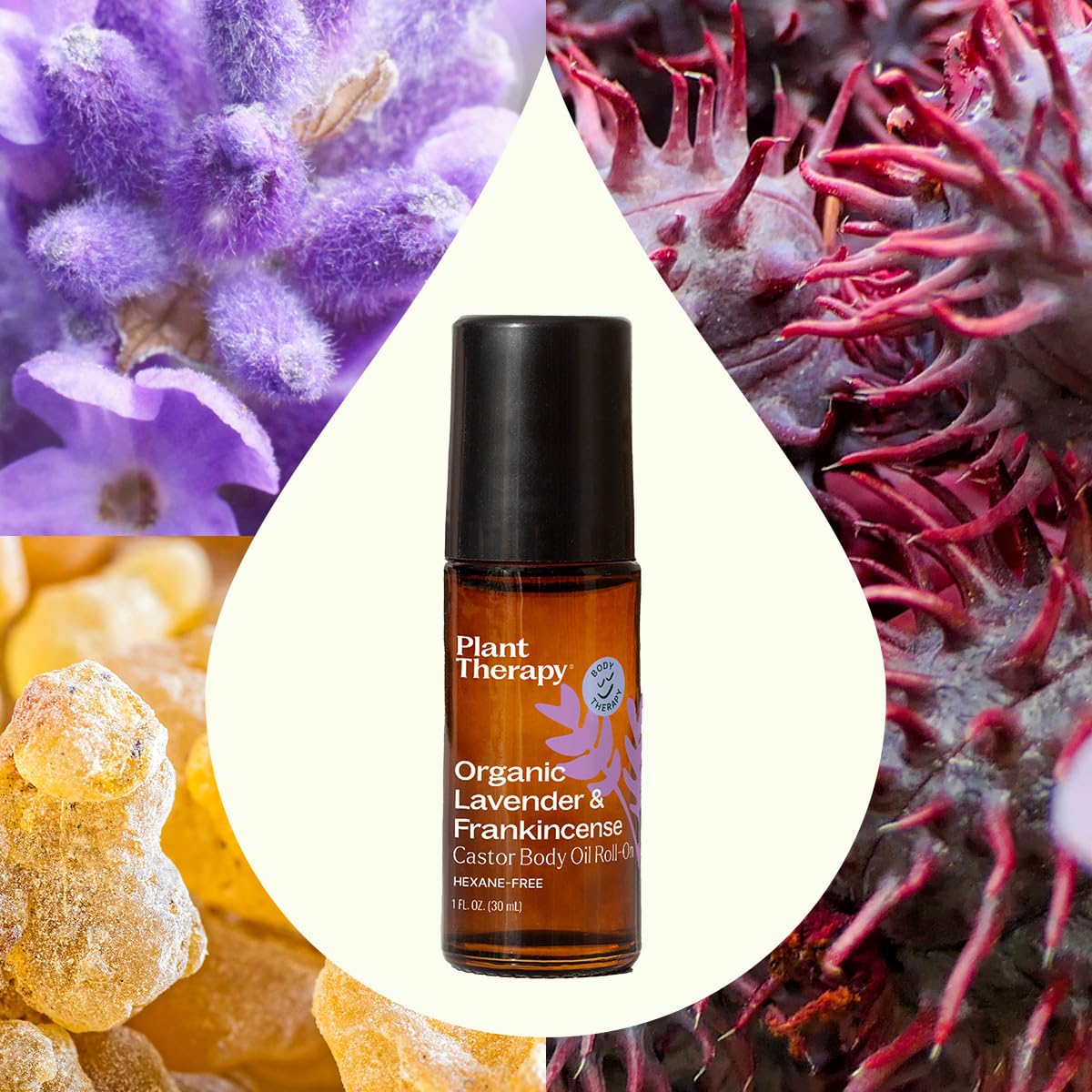 Plant Therapy roll-on in hand showing 30 mL travel-friendly size and portability