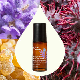 Plant Therapy roll-on in hand showing 30 mL travel-friendly size and portability