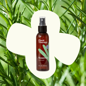 Plant Therapy bottle with rosemary sprigs highlighting natural source