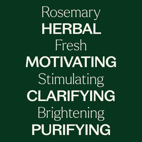 Plant Therapy facial mist in use refreshing skin with light hydration